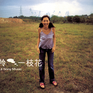 毛片手机在线观看
